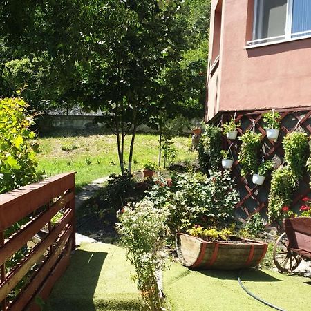 Casa Lorena Sărata-Monteoru Extérieur photo