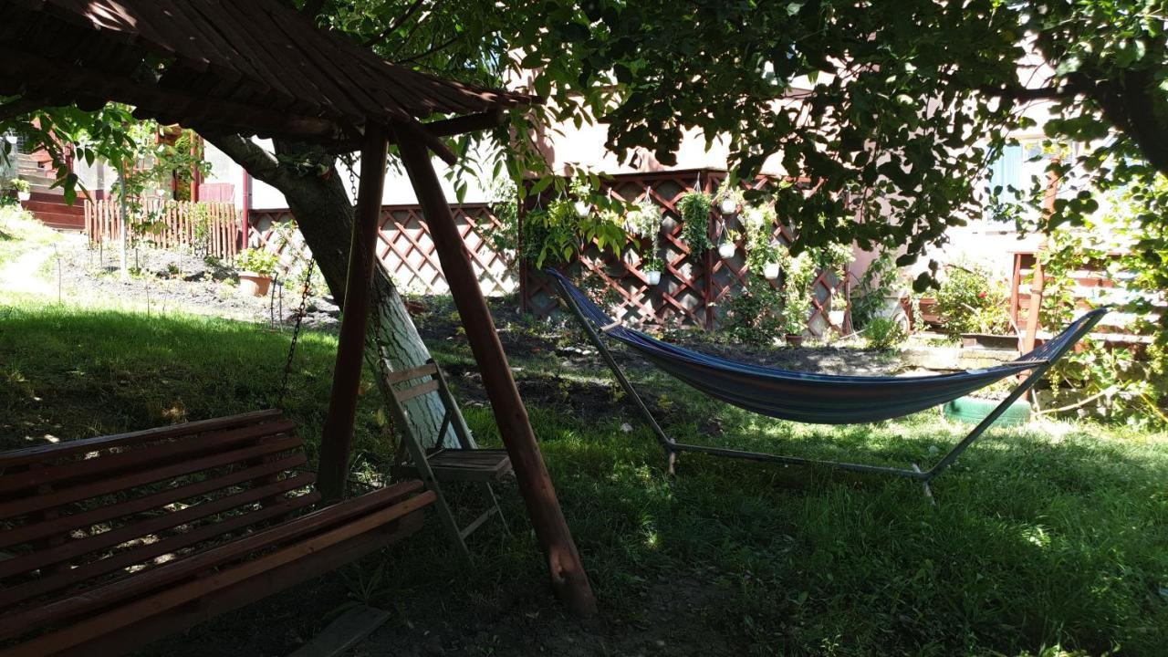 Casa Lorena Sărata-Monteoru Extérieur photo
