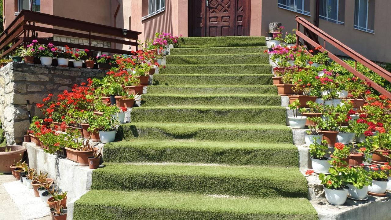Casa Lorena Sărata-Monteoru Extérieur photo