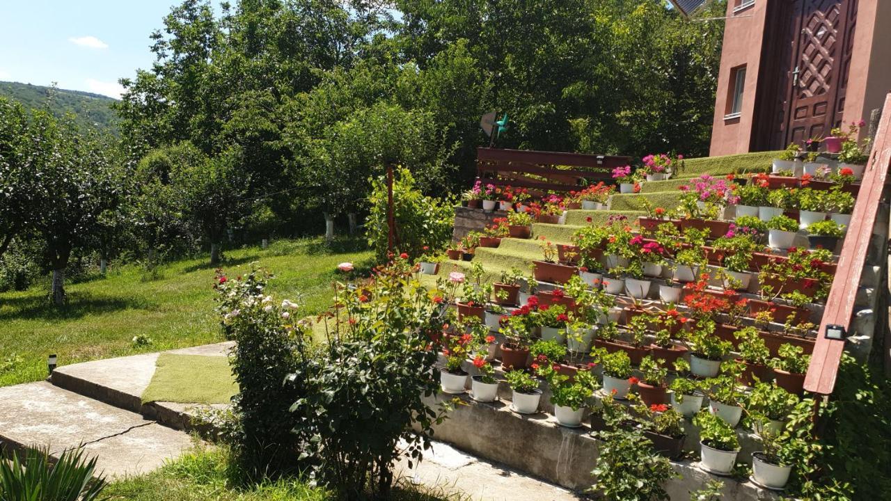 Casa Lorena Sărata-Monteoru Extérieur photo
