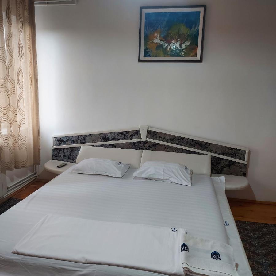 Casa Lorena Sărata-Monteoru Extérieur photo