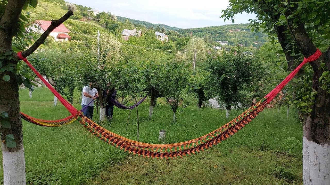 Casa Lorena Sărata-Monteoru Extérieur photo