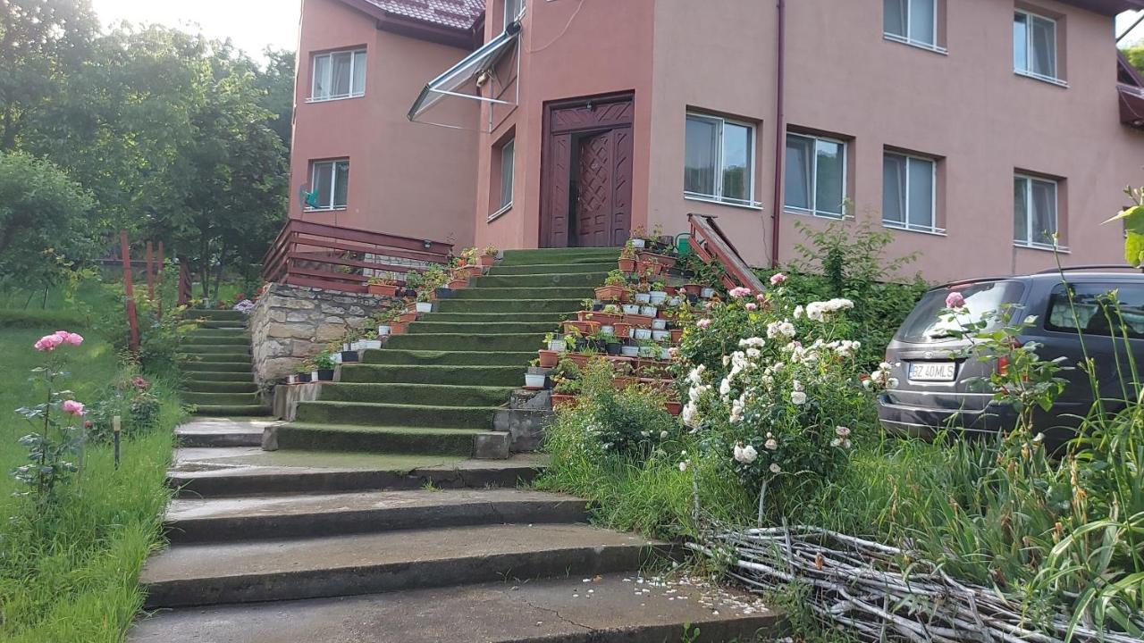 Casa Lorena Sărata-Monteoru Extérieur photo