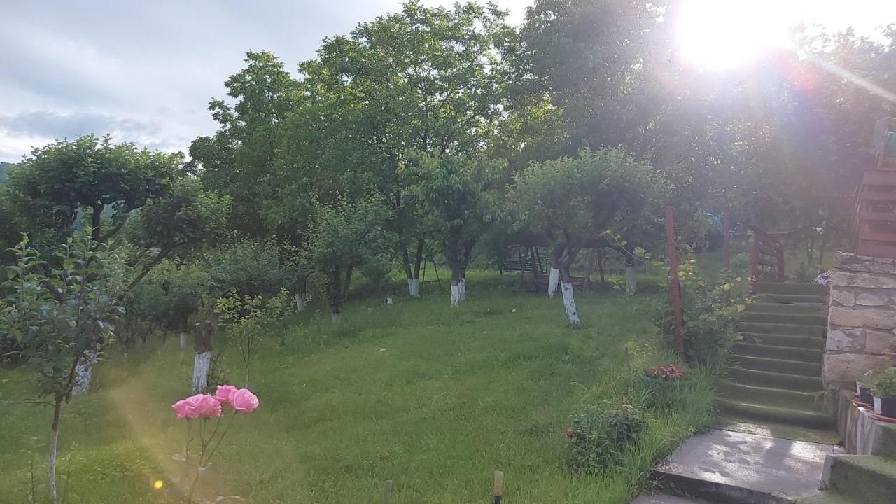 Casa Lorena Sărata-Monteoru Extérieur photo