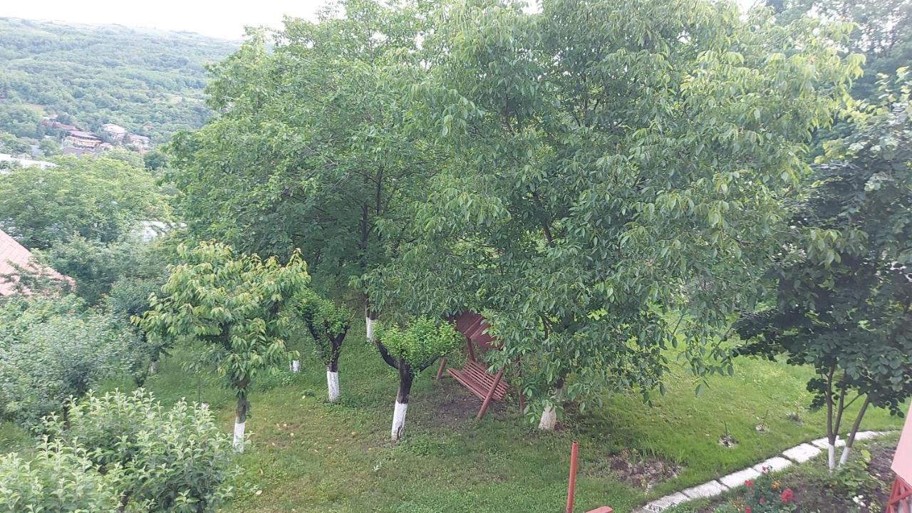 Casa Lorena Sărata-Monteoru Extérieur photo