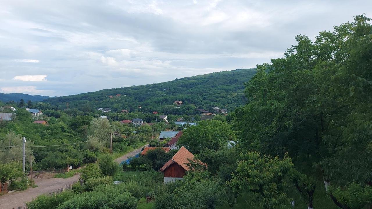 Casa Lorena Sărata-Monteoru Extérieur photo