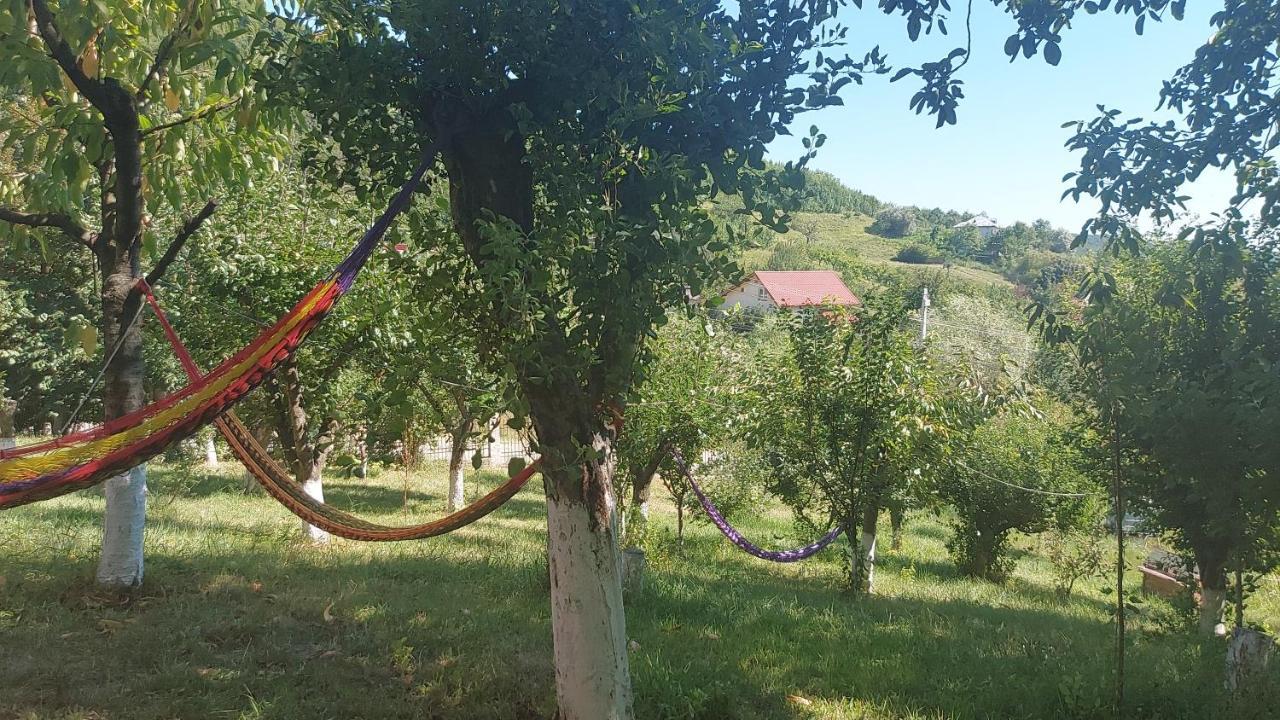 Casa Lorena Sărata-Monteoru Extérieur photo