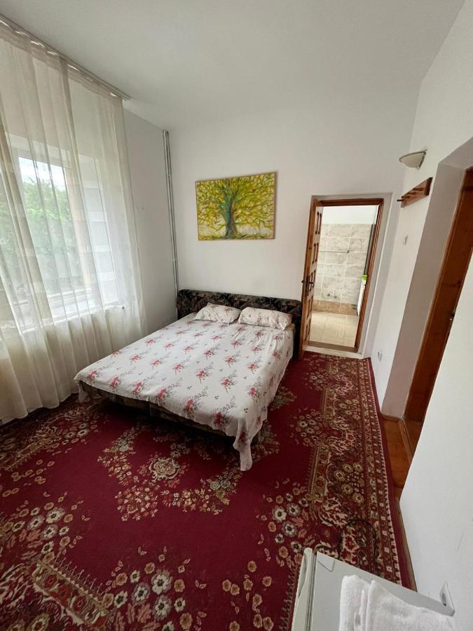 Casa Lorena Sărata-Monteoru Extérieur photo