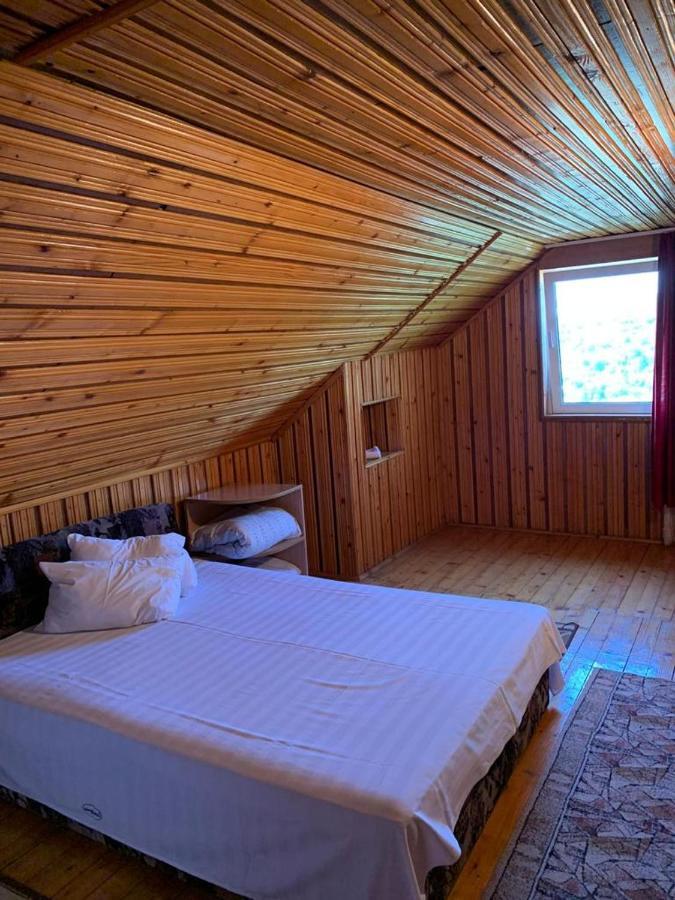 Casa Lorena Sărata-Monteoru Extérieur photo
