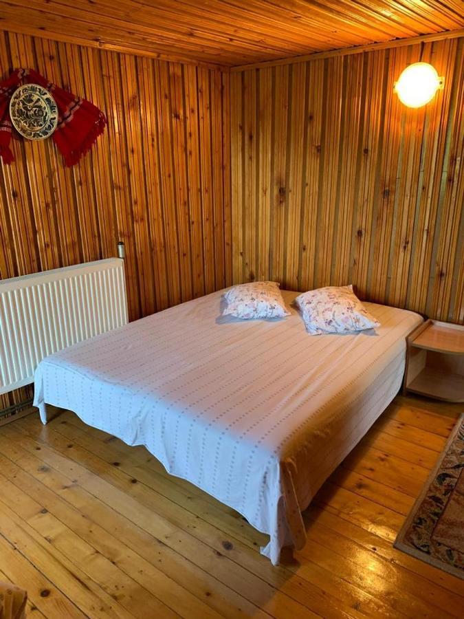 Casa Lorena Sărata-Monteoru Extérieur photo