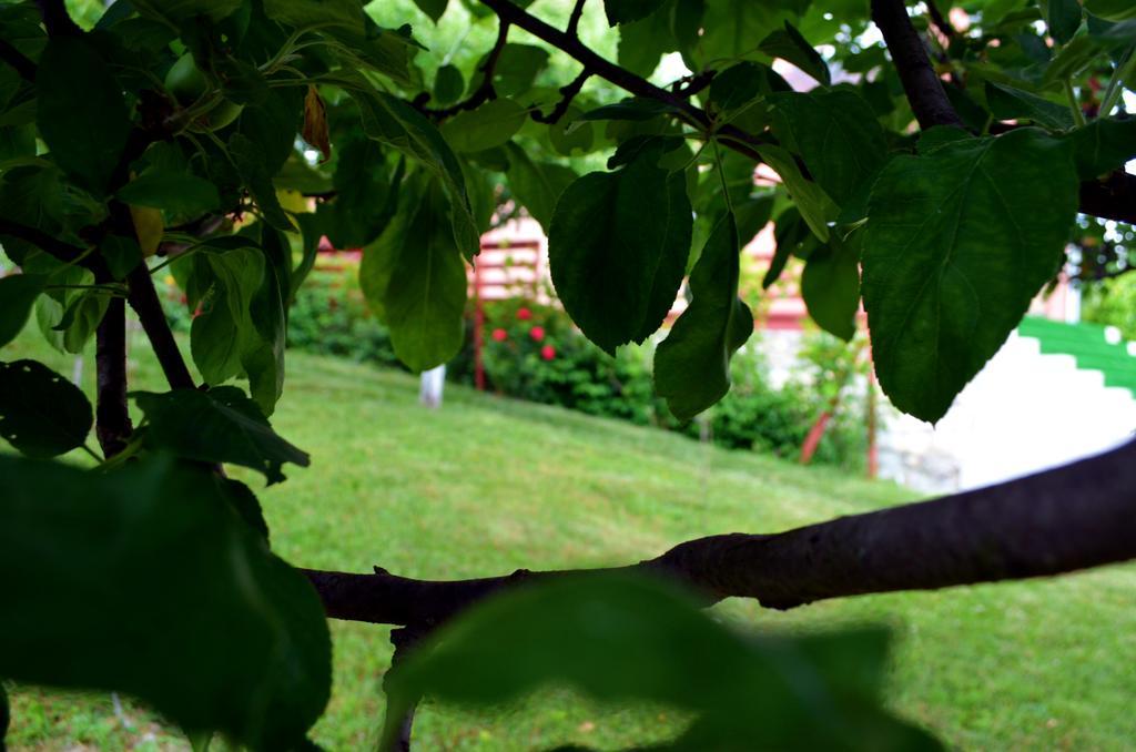 Casa Lorena Sărata-Monteoru Extérieur photo