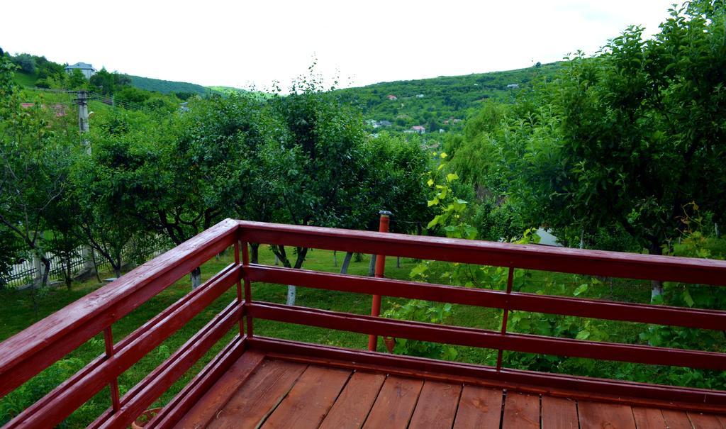 Casa Lorena Sărata-Monteoru Extérieur photo